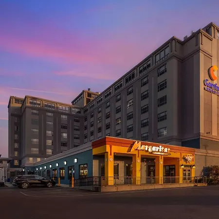 Comfort Inn & Suites Logan International Airport-3